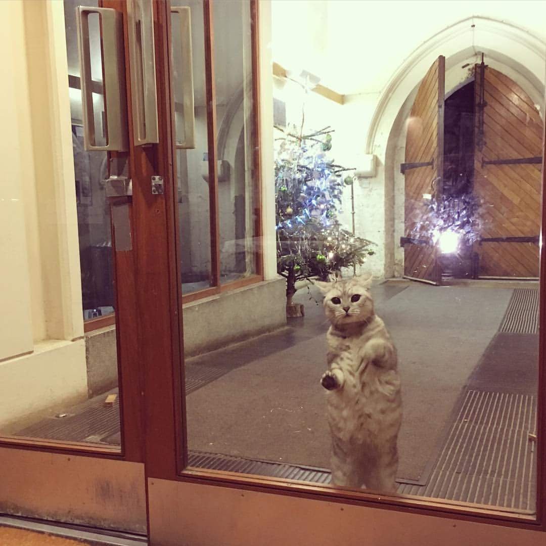 Let_me_in_to_church!.jpg